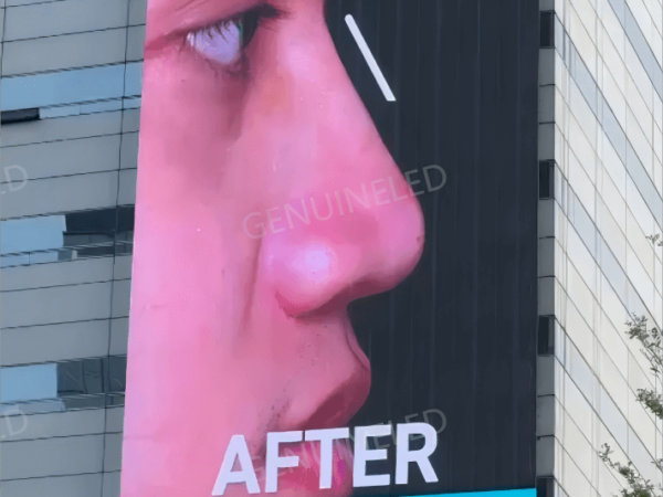 Indonesia GTO Series P15.6